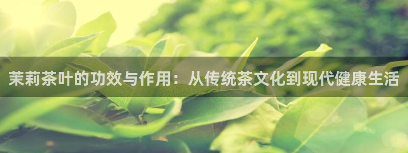 金年会是赌博的吗