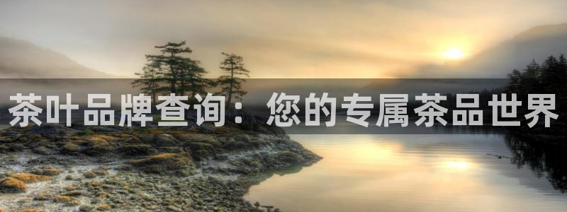 金年会平台出款