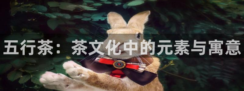 金升年会