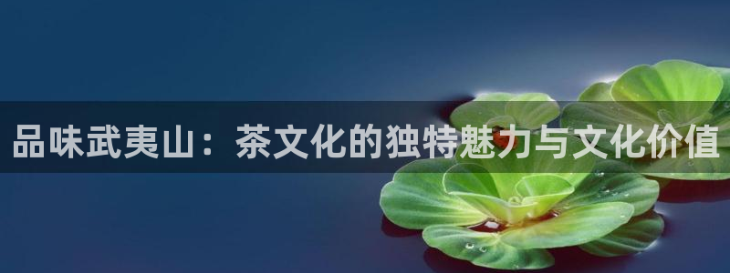 金年会嗨聊app下载