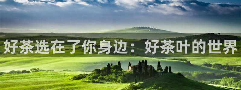 金年会平台是什么