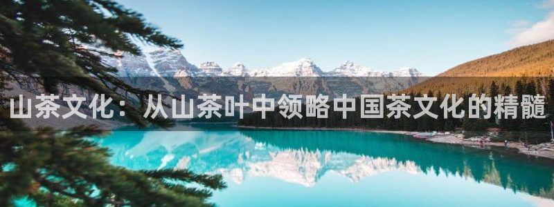 金哥年会