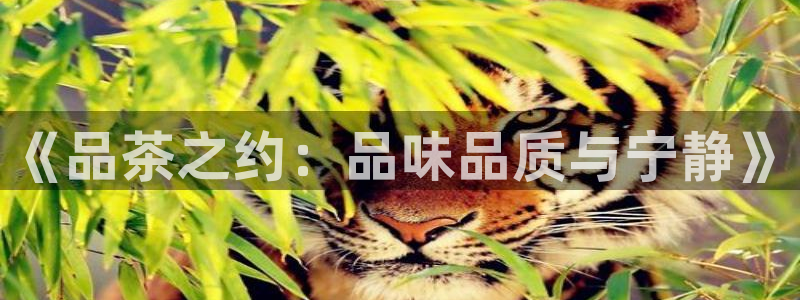 金进年会