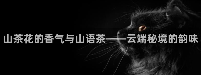 金年会体育苹果下载