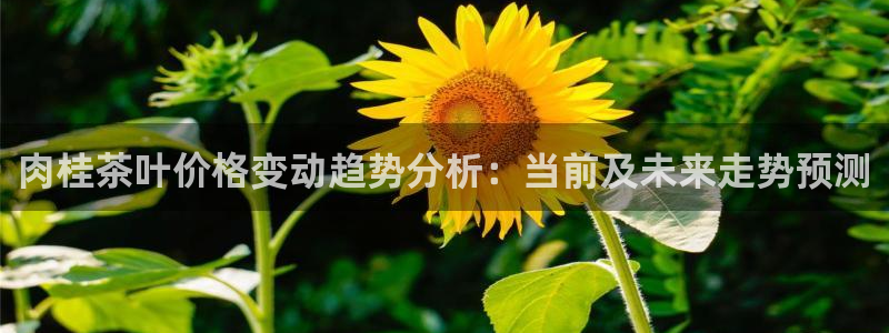 金年会黑网