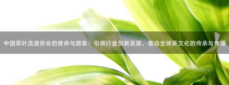 金年会app