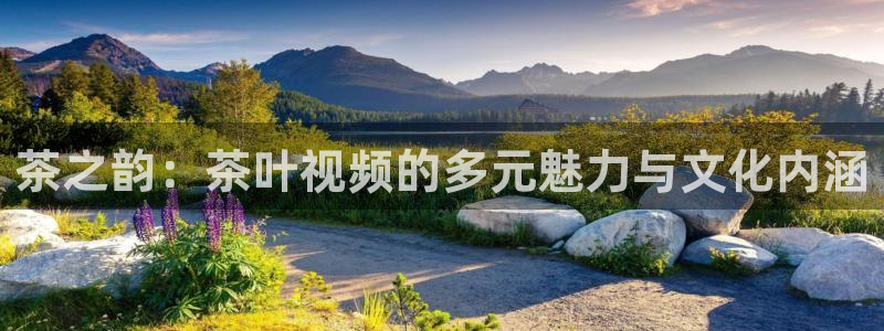 澳门娱乐金年会