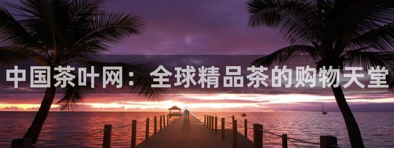体育金年会