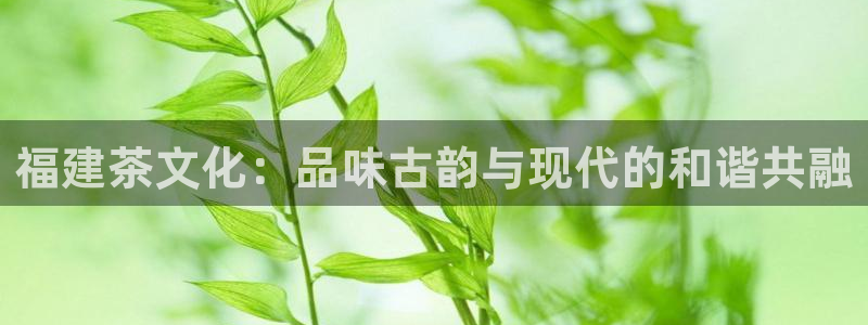 为什么搜索不了金年会