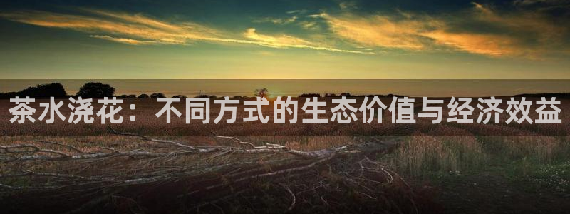金科年会图片