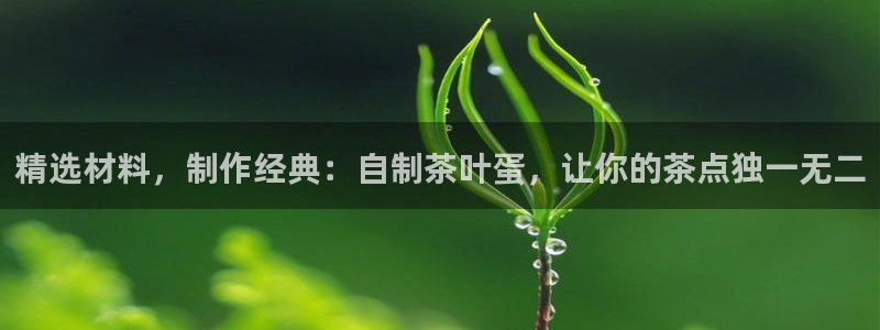 金年会金字招牌下载