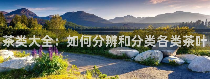金年会平台是什么