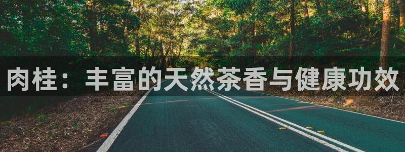 金年会官网地址