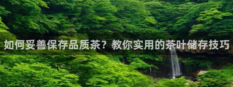 金年会官方网站入口