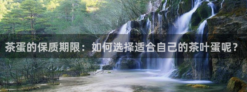 金年会官