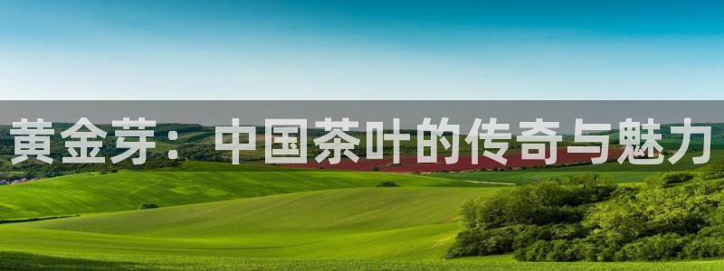金年会金字招牌在线入口