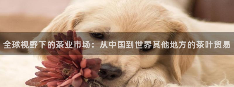 金年会娱乐