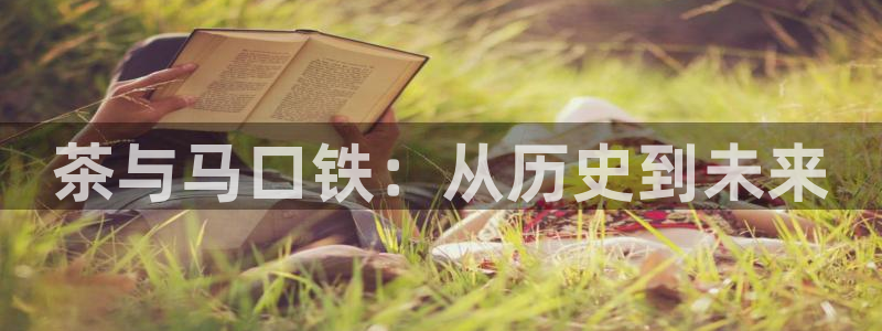 金年会电子