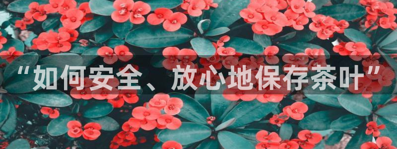 类似金年会