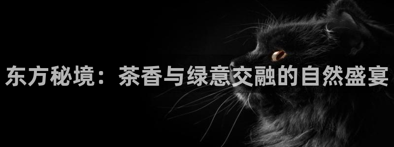 金年会足彩