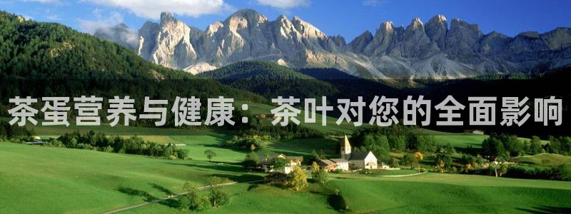 金年会活动策划
