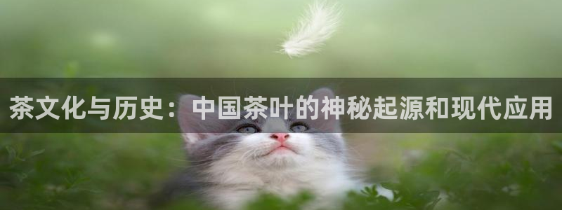 金年会官方客服电话