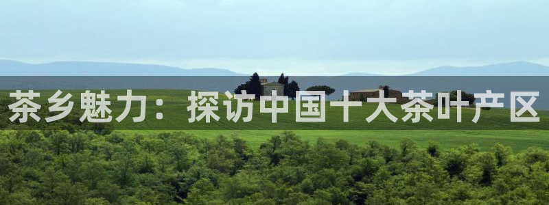 金年会软件在线下载