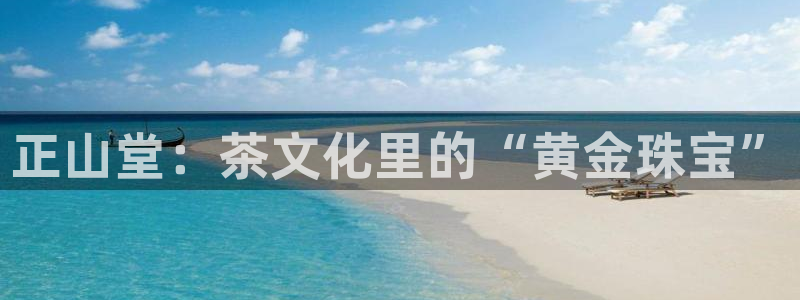 金年会平台游戏