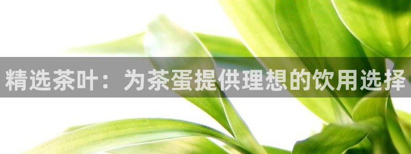 金年会电子游戏