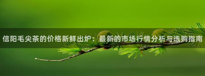 金金年会