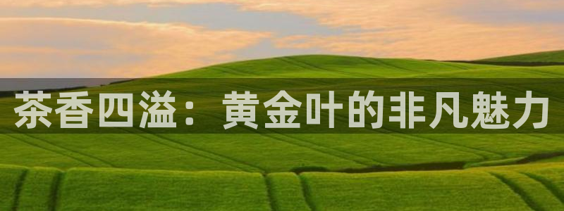 金齿科年会