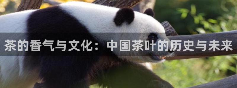 金年会棋牌