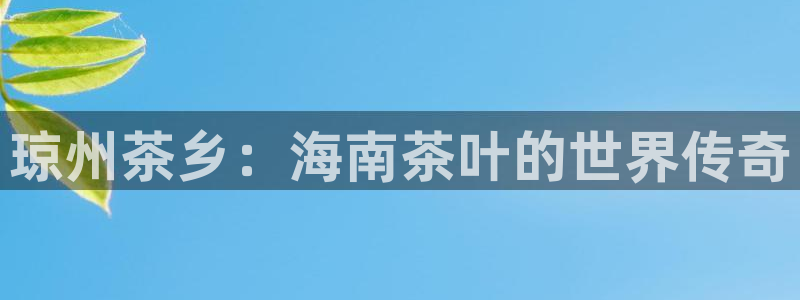 金年会APP下载
