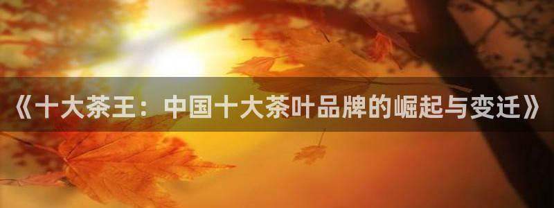 金帆年会2017
