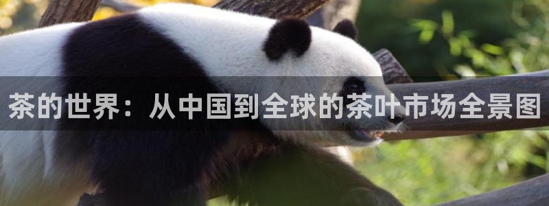 金年会ios下载