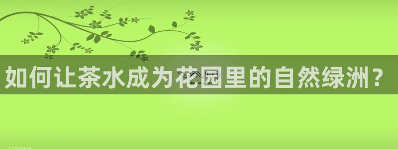 6766金年会