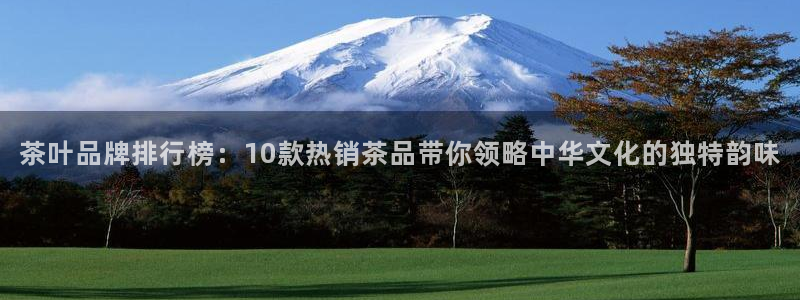 金吉年会