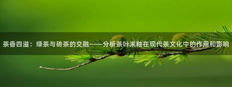 金年会 中国 金年会