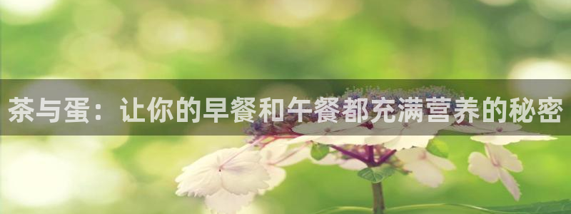 类似金年会