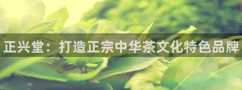 金年会娱乐app