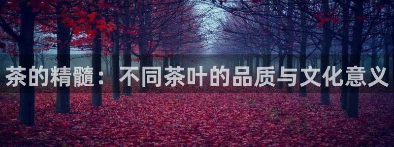 金年会娱乐app