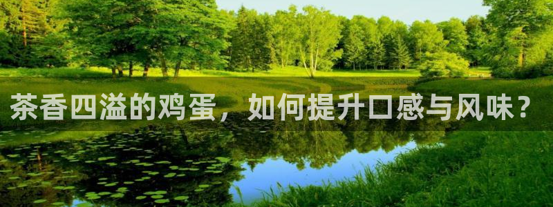 类似金年会