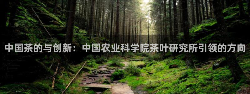 金年会电子