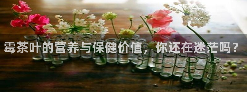 jinnian金年会
