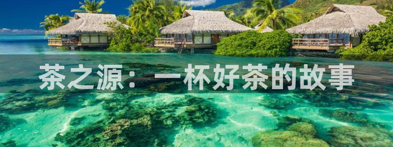 金年会不给提现