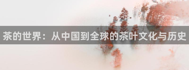 今年会金年会