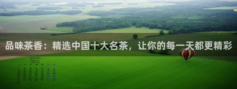金年会平台是什么