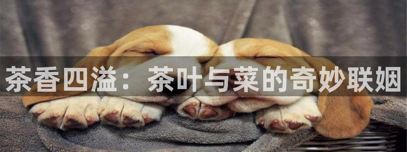 金年会赌博
