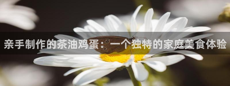 澳门与金年会的关系