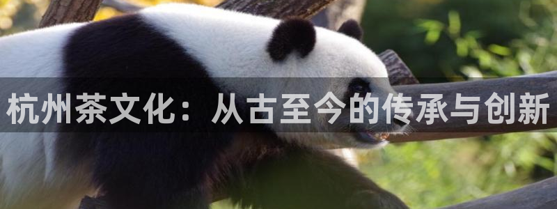 金年会介绍